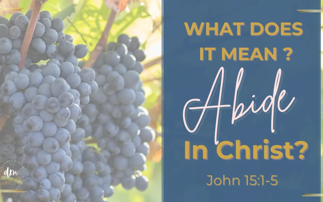 What Does It Mean to Abide in Christ?