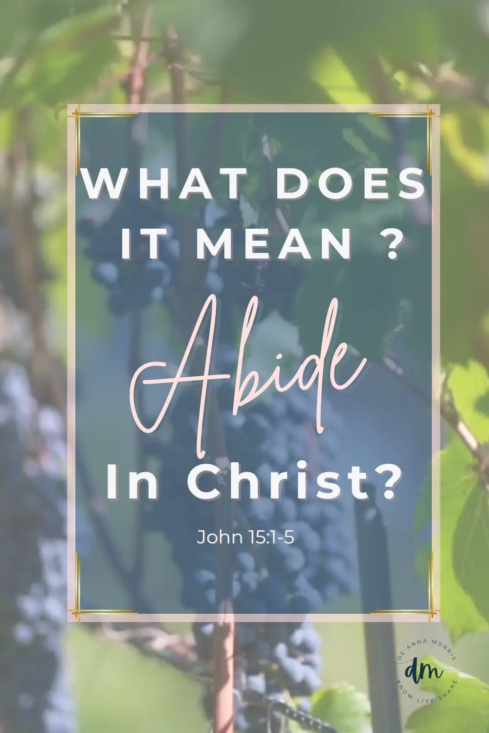 What does it mean to abide in Christ - Pinterest