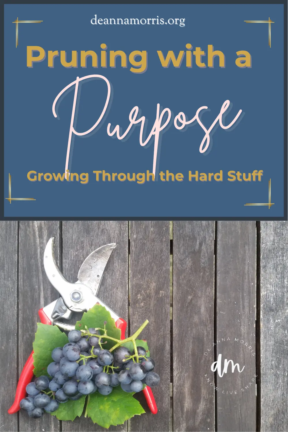 Pruning with a purpose - growing through the hard stuff pinterest