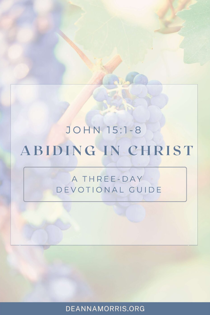 Abiding in Christ devotional guide