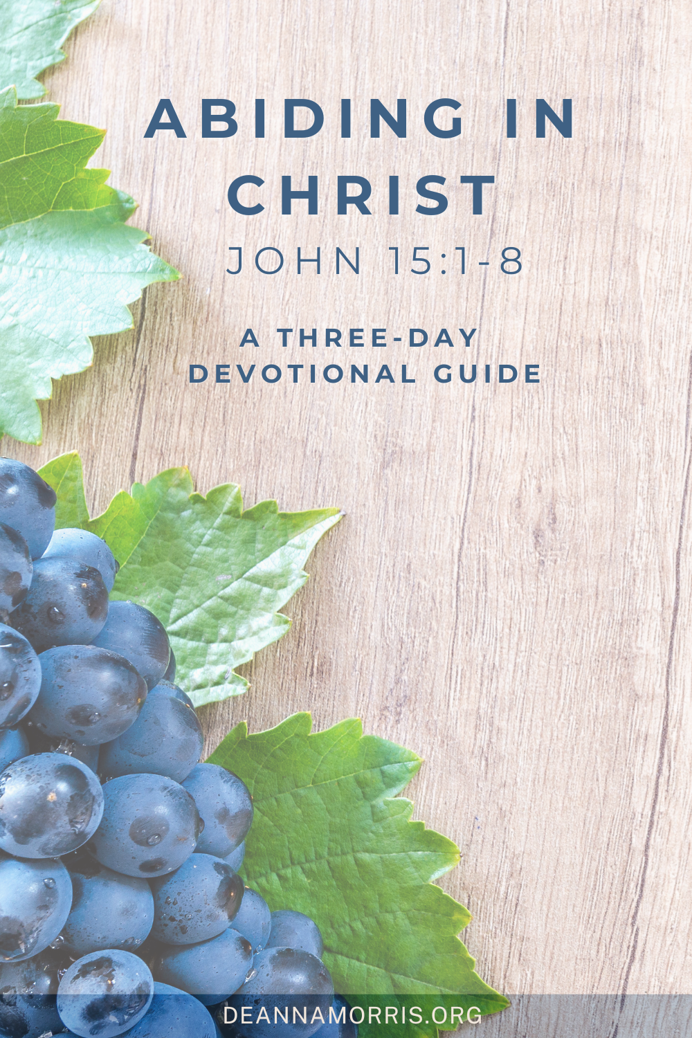 Abide in Christ - 3-day devotional