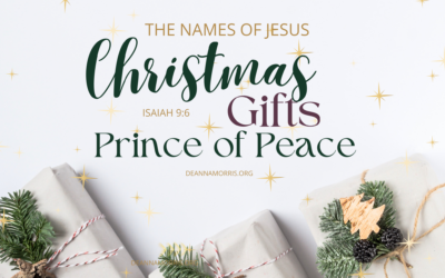 Embracing Peace: Finding Serenity in Chaos